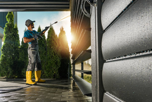 Best Gutter Cleaning  in Griswold, IA