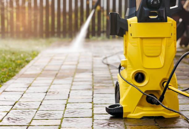 Best Fence Cleaning  in Griswold, IA